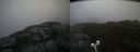 ./images/calvert/buxton2/20200610/buxton220200610_173502M.jpg