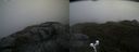 ./images/calvert/buxton2/20200612/buxton220200612_144002M.jpg