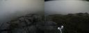 ./images/calvert/buxton2/20200612/buxton220200612_151003M.jpg