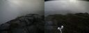 ./images/calvert/buxton2/20200615/buxton220200615_143503M.jpg