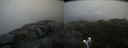 ./images/calvert/buxton2/20200615/buxton220200615_161502M.jpg