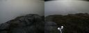 ./images/calvert/buxton2/20200619/buxton220200619_175502M.jpg