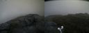 ./images/calvert/buxton2/20200619/buxton220200619_185503M.jpg