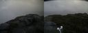 ./images/calvert/buxton2/20200619/buxton220200619_191003M.jpg