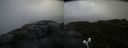 ./images/calvert/buxton2/20200619/buxton220200619_194502M.jpg