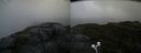 ./images/calvert/buxton2/20200619/buxton220200619_195002M.jpg
