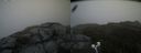 ./images/calvert/buxton2/20200620/buxton220200620_134503M.jpg