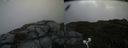 ./images/calvert/buxton2/20200620/buxton220200620_135503M.jpg