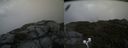 ./images/calvert/buxton2/20200620/buxton220200620_140003M.jpg