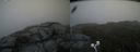 ./images/calvert/buxton2/20200620/buxton220200620_143503M.jpg