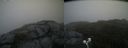 ./images/calvert/buxton2/20200620/buxton220200620_153502M.jpg