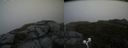 ./images/calvert/buxton2/20200620/buxton220200620_155002M.jpg