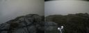 ./images/calvert/buxton2/20200620/buxton220200620_155502M.jpg