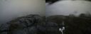./images/calvert/buxton2/20200621/buxton220200621_204503M.jpg