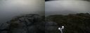 ./images/calvert/buxton2/20200622/buxton220200622_164502M.jpg
