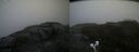 ./images/calvert/buxton2/20200623/buxton220200623_164503M.jpg