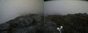 ./images/calvert/buxton2/20200625/buxton220200625_142002M.jpg