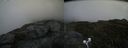 ./images/calvert/buxton2/20200625/buxton220200625_142502M.jpg