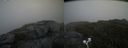 ./images/calvert/buxton2/20200625/buxton220200625_143502M.jpg