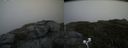 ./images/calvert/buxton2/20200625/buxton220200625_144503M.jpg