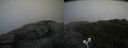 ./images/calvert/buxton2/20200625/buxton220200625_151503M.jpg