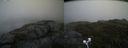 ./images/calvert/buxton2/20200625/buxton220200625_155003M.jpg
