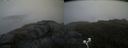 ./images/calvert/buxton2/20200625/buxton220200625_165502M.jpg