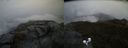 ./images/calvert/buxton2/20200625/buxton220200625_210503M.jpg