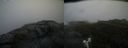 ./images/calvert/buxton2/20200626/buxton220200626_102503M.jpg