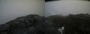 ./images/calvert/buxton2/20200626/buxton220200626_104502M.jpg