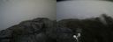 ./images/calvert/buxton2/20200626/buxton220200626_143503M.jpg