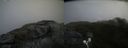 ./images/calvert/buxton2/20200626/buxton220200626_144503M.jpg