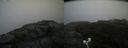 ./images/calvert/buxton2/20200626/buxton220200626_171503M.jpg