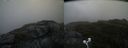 ./images/calvert/buxton2/20200626/buxton220200626_191502M.jpg
