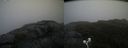 ./images/calvert/buxton2/20200626/buxton220200626_195503M.jpg