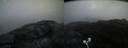./images/calvert/buxton2/20200626/buxton220200626_221003M.jpg
