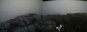 ./images/calvert/buxton2/20200627/buxton220200627_115002M.jpg