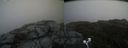./images/calvert/buxton2/20200627/buxton220200627_121002M.jpg