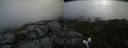 ./images/calvert/buxton2/20200627/buxton220200627_124503M.jpg