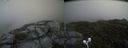 ./images/calvert/buxton2/20200627/buxton220200627_131003M.jpg