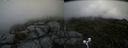./images/calvert/buxton2/20200627/buxton220200627_131503M.jpg