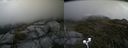 ./images/calvert/buxton2/20200627/buxton220200627_132503M.jpg