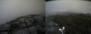 ./images/calvert/buxton2/20200627/buxton220200627_135503M.jpg