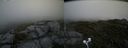 ./images/calvert/buxton2/20200627/buxton220200627_145002M.jpg