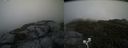 ./images/calvert/buxton2/20200629/buxton220200629_192003M.jpg