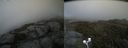 ./images/calvert/buxton2/20200629/buxton220200629_194503M.jpg