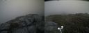 ./images/calvert/buxton2/20200629/buxton220200629_201003M.jpg