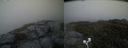 ./images/calvert/buxton2/20200629/buxton220200629_202003M.jpg