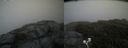 ./images/calvert/buxton2/20200629/buxton220200629_203503M.jpg