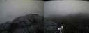 ./images/calvert/buxton2/20200630/buxton220200630_051003M.jpg